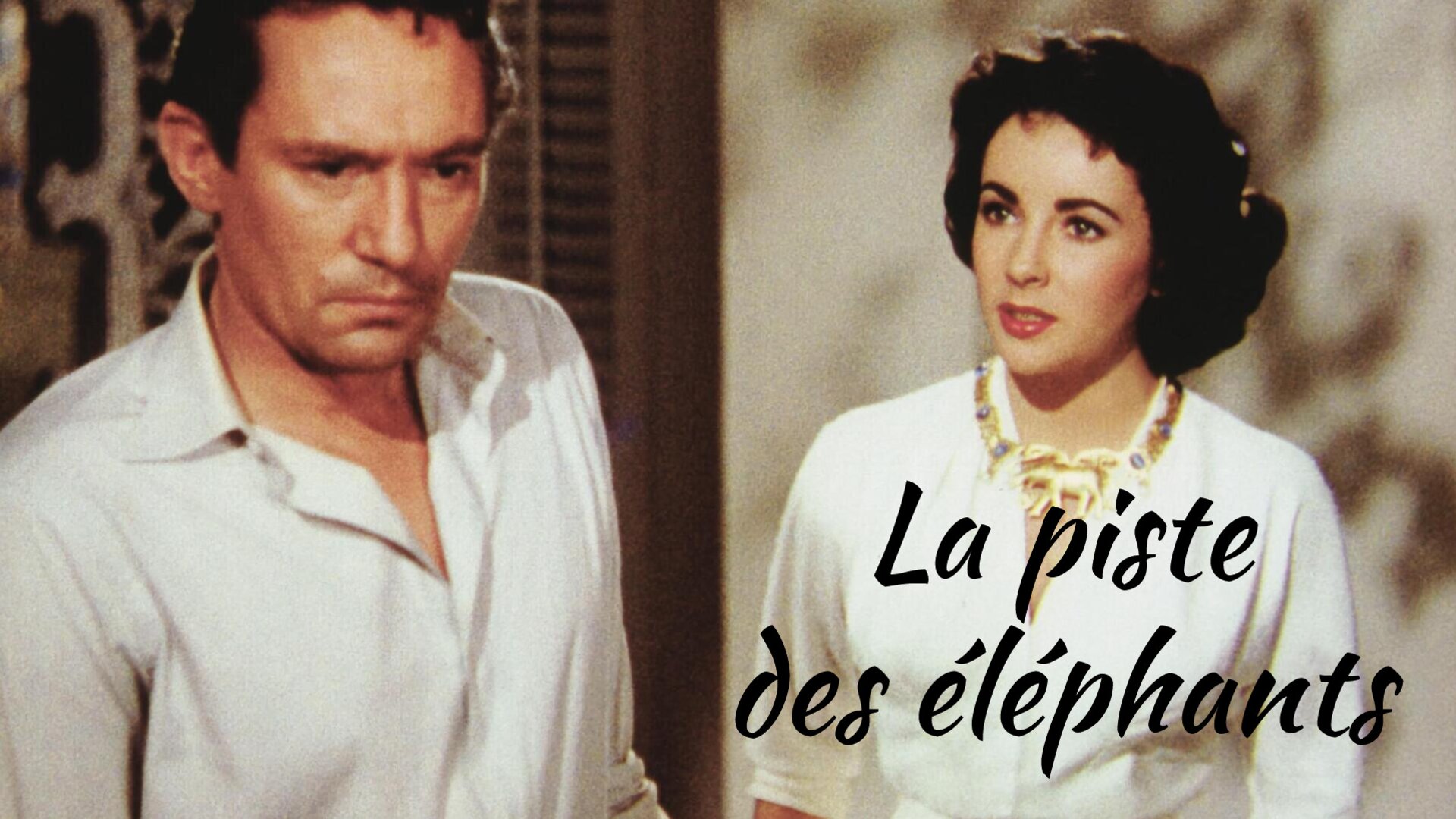 La piste des éléphants