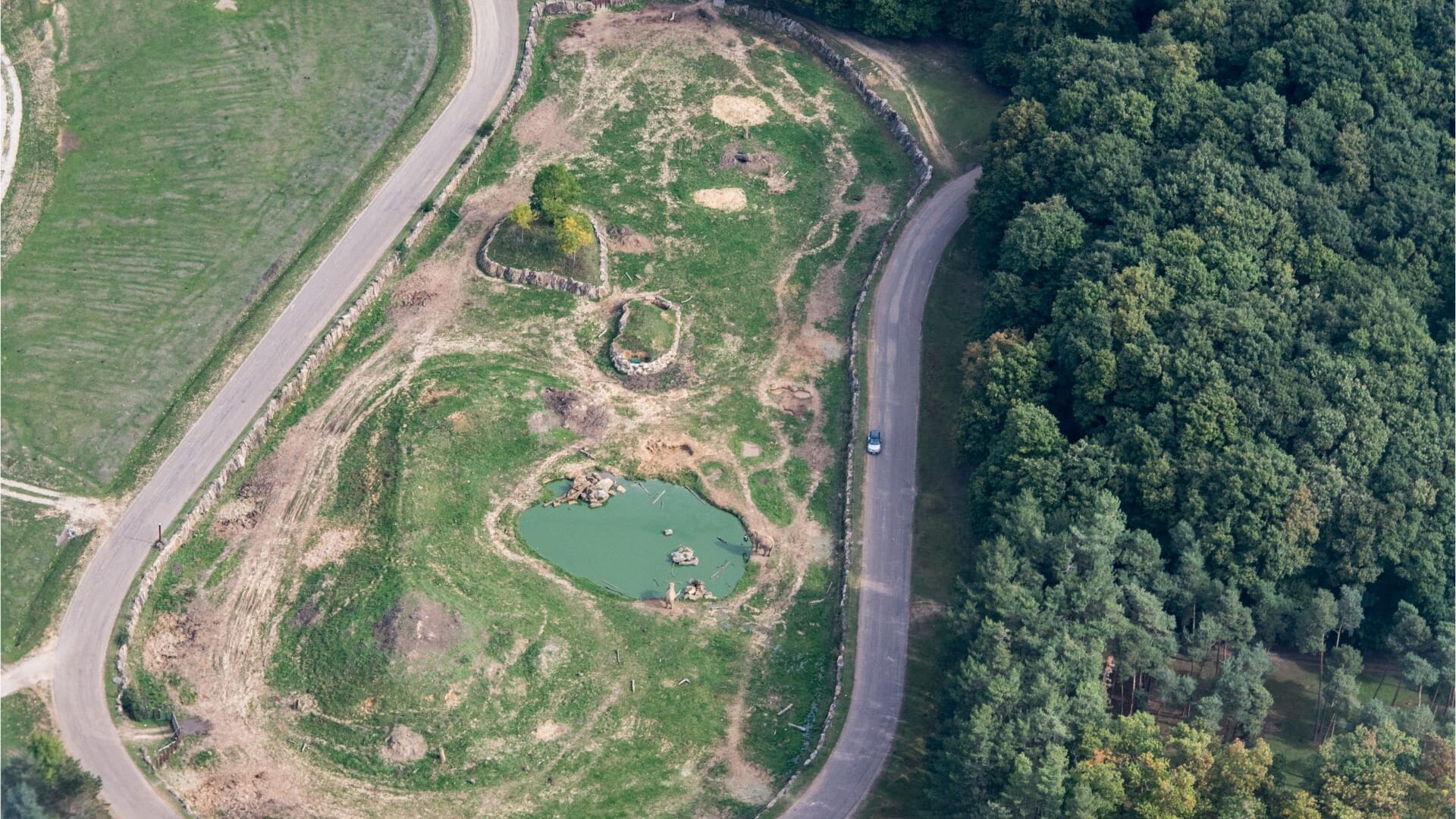 Zoo de Thoiry : sanctuaire de la faune sauvage