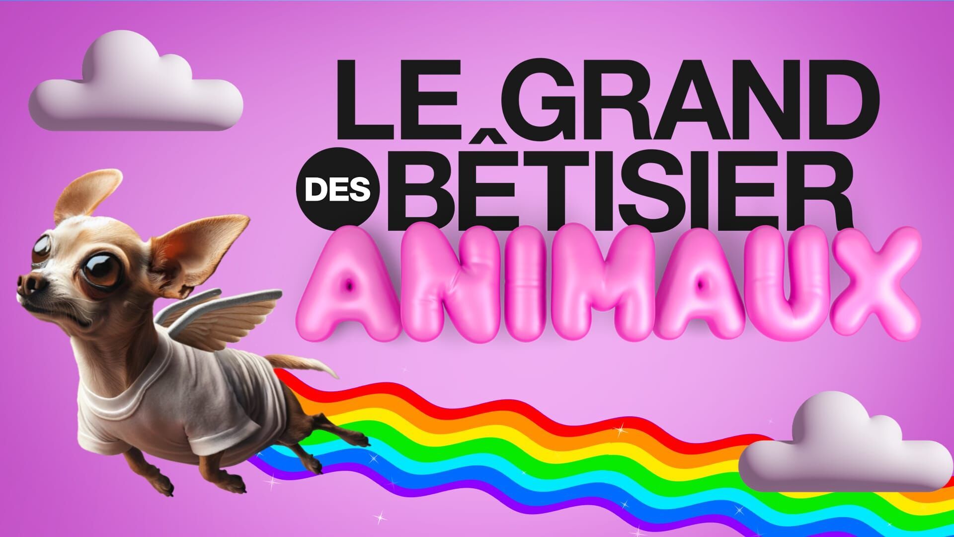 Le grand bêtisier des animaux