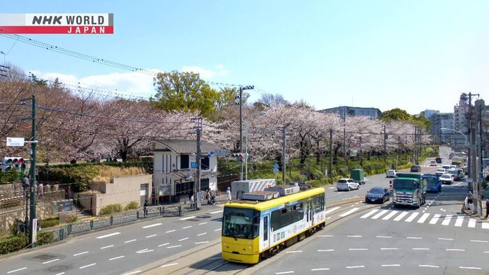 A Truck of Dreams: Tokyo's Arakawa Line