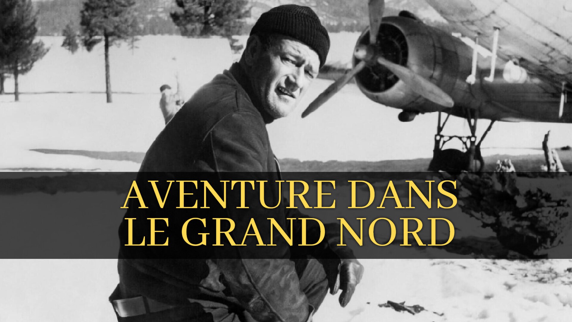Aventure dans le Grand Nord