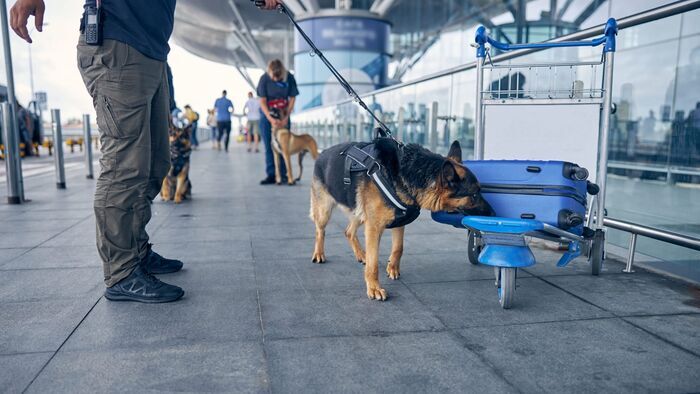 Vols de bagages, trafics et business class : embarquement immédiat à Roissy