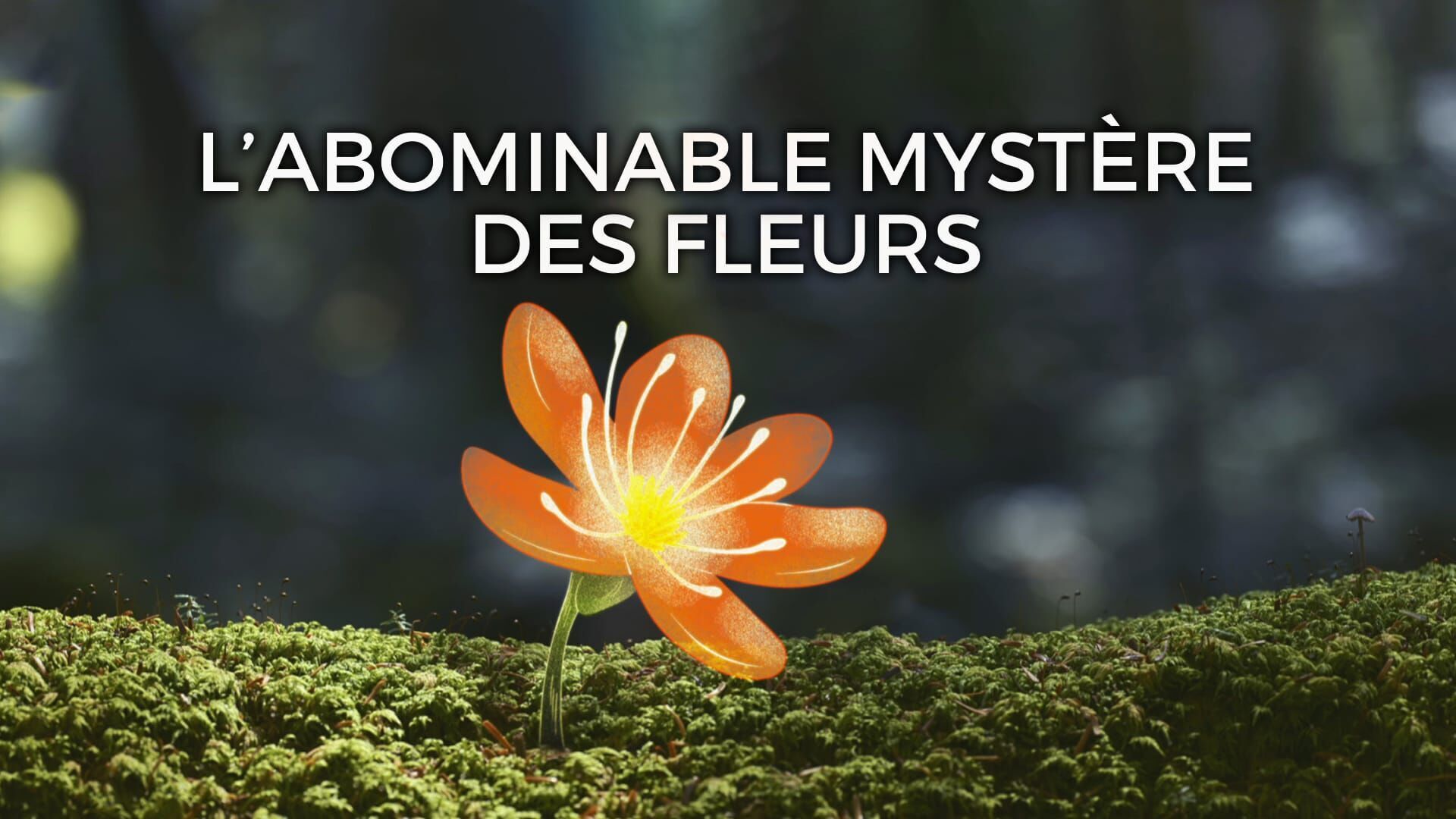 L'abominable mystère des fleurs