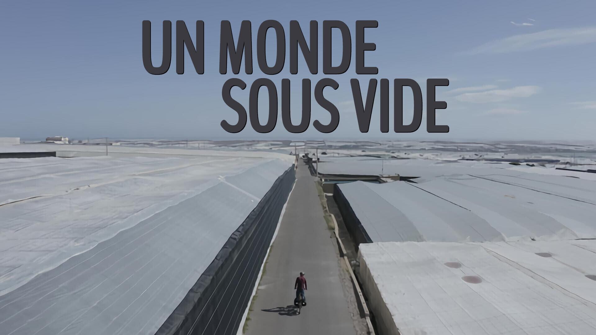 Un monde sous vide