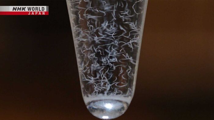 The Resourceful Nematode