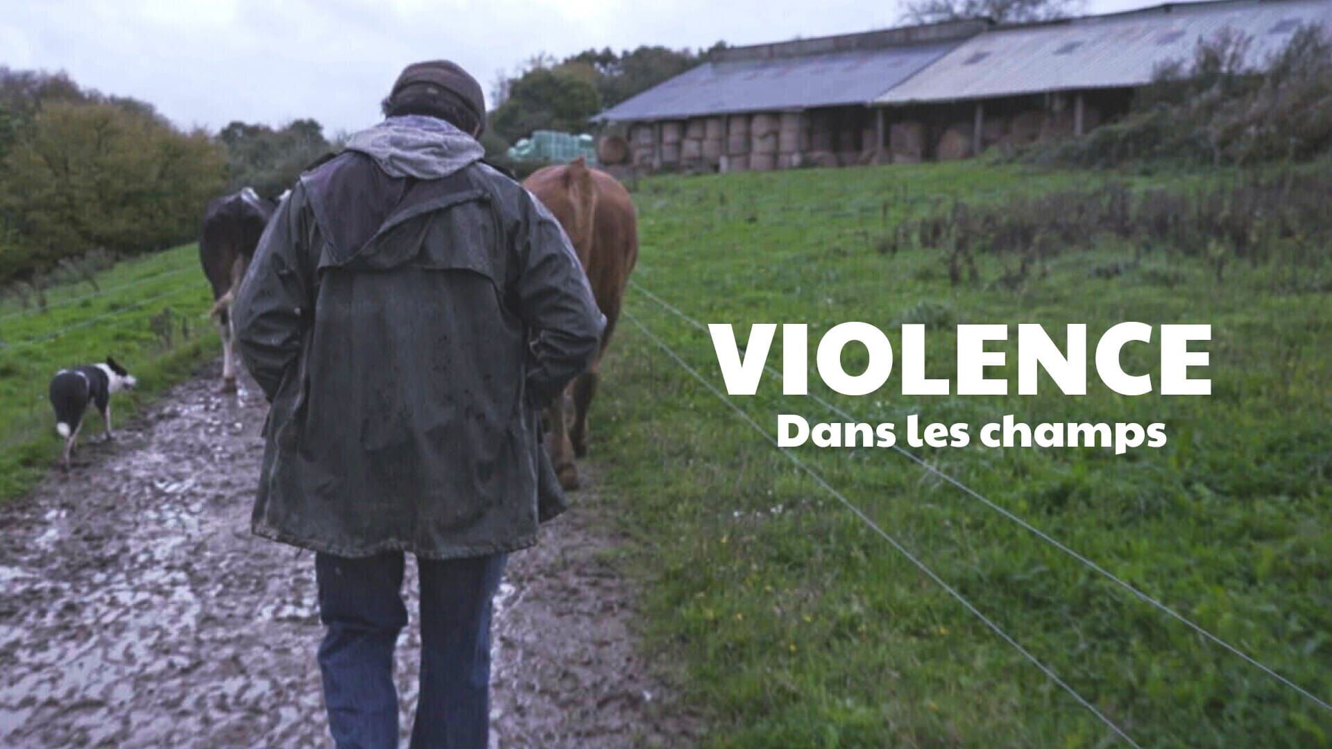 Violence dans les champs