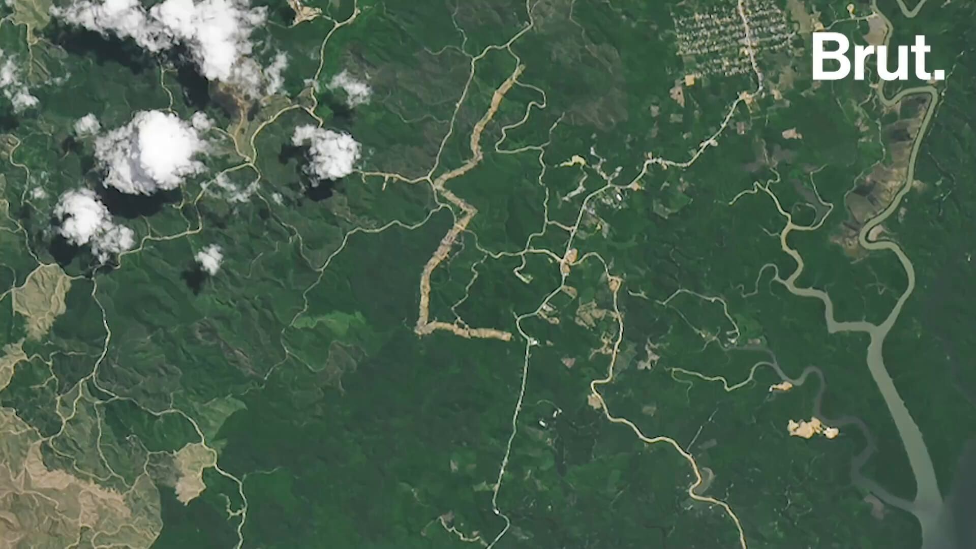 Une capitale futuriste géante… en pleine forêt ?!