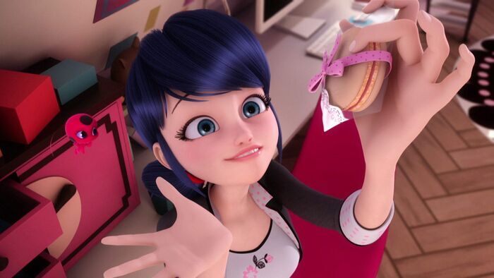 Animaestro