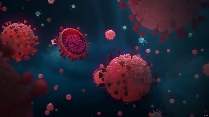 The Good Virus