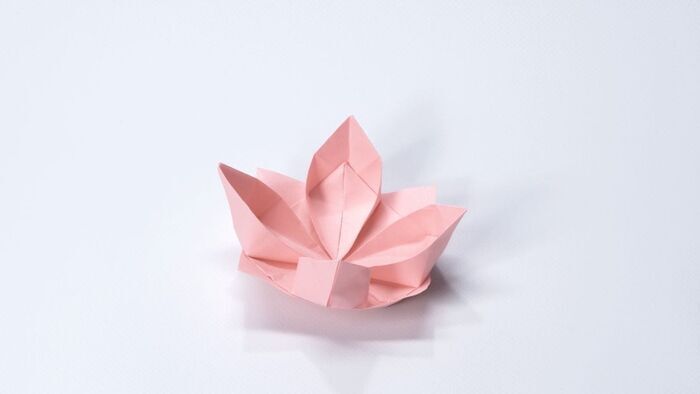 Le Lotus