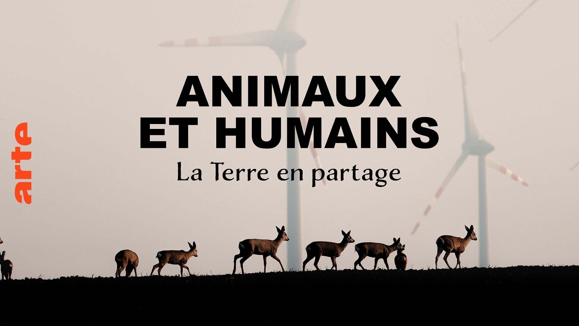 Animaux et humains, la Terre en partage