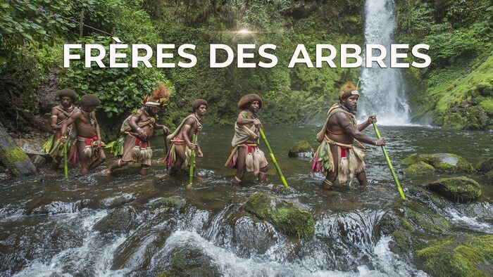 Frères des arbres, l'appel d'un chef papou