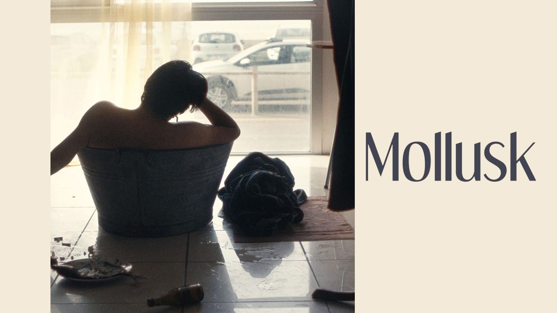 Mollusk