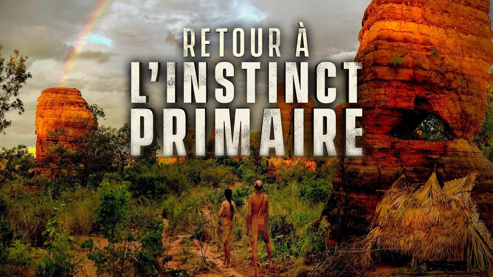 Traque dans la savane