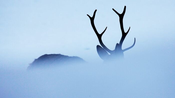 L'hiver