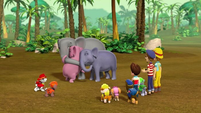 Le bébé éléphant / Des chatons qui sèment la pagaille
