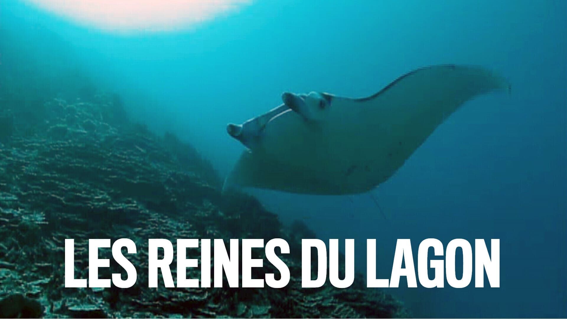 Les reines du lagon