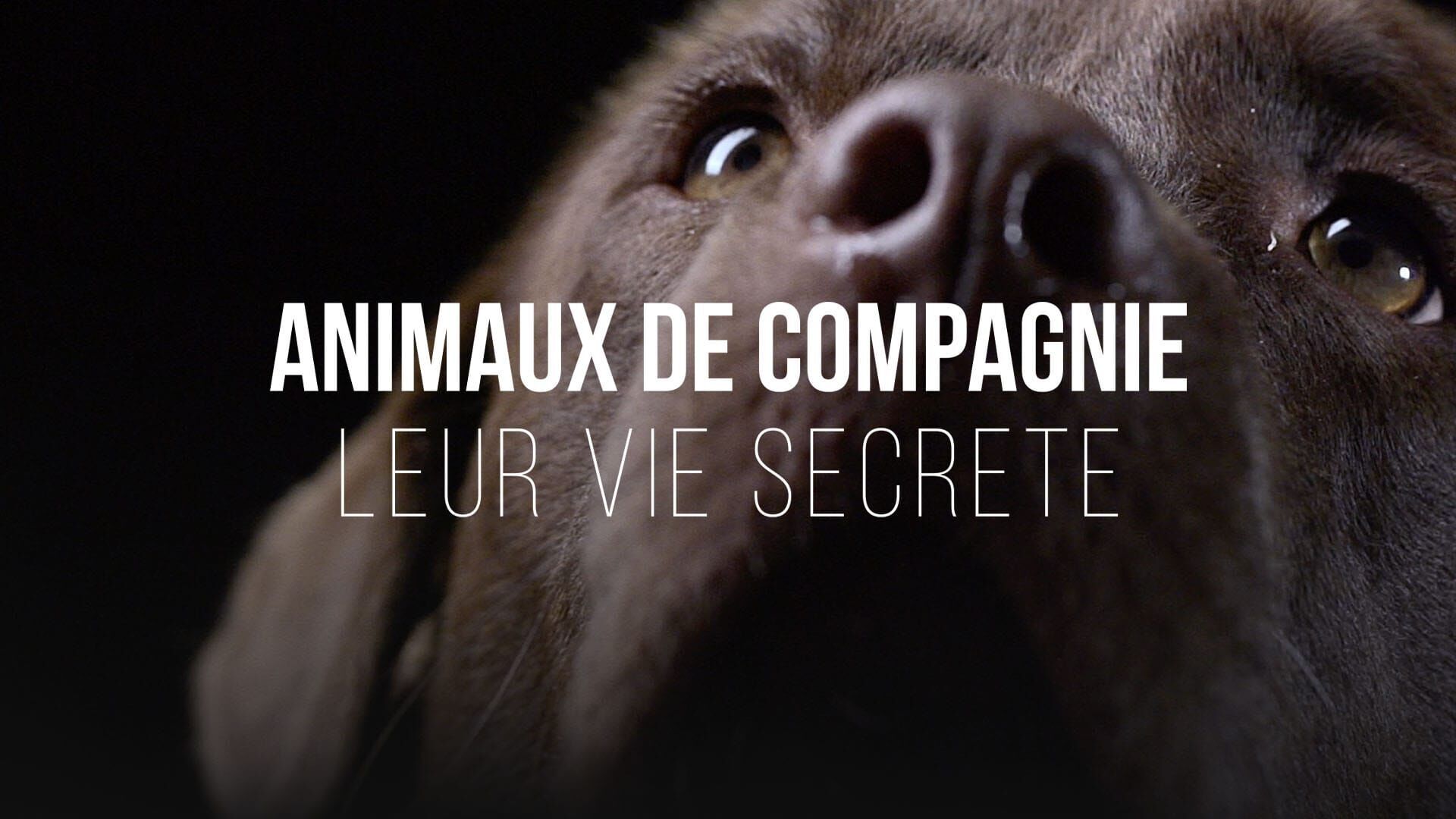 Apprendre à grandir