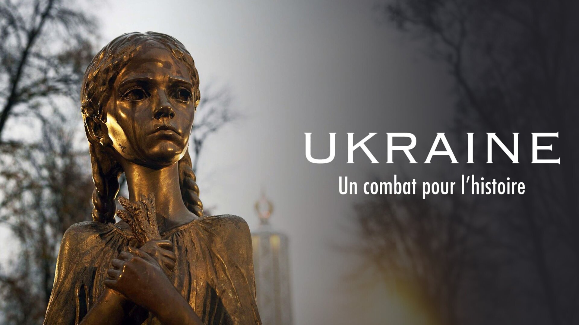 Ukraine : un combat pour l'Histoire