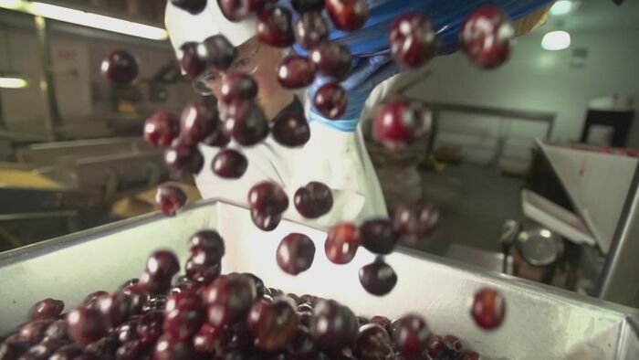 Noix de pécan chocolatée, cannelle et fruits et légumes sucrés