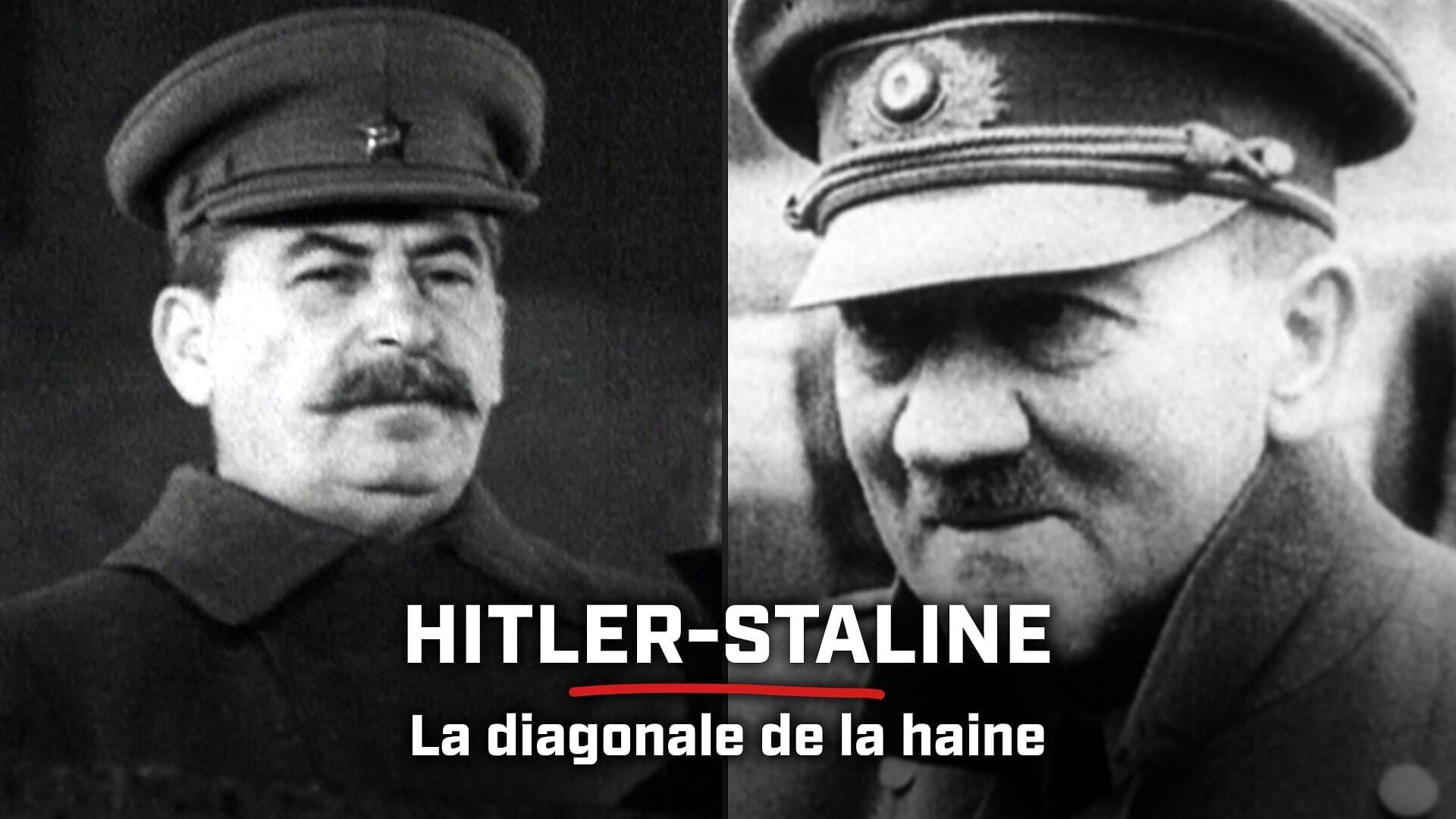 Hitler-Staline : La diagonale de la haine