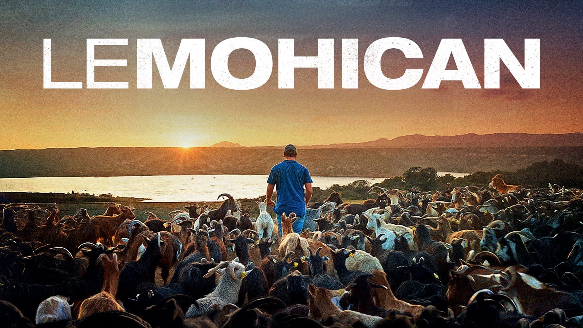 Le Mohican
