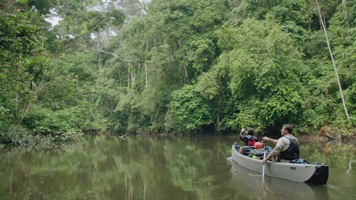 Gabon : le parc national de Moukalaba-Doudou