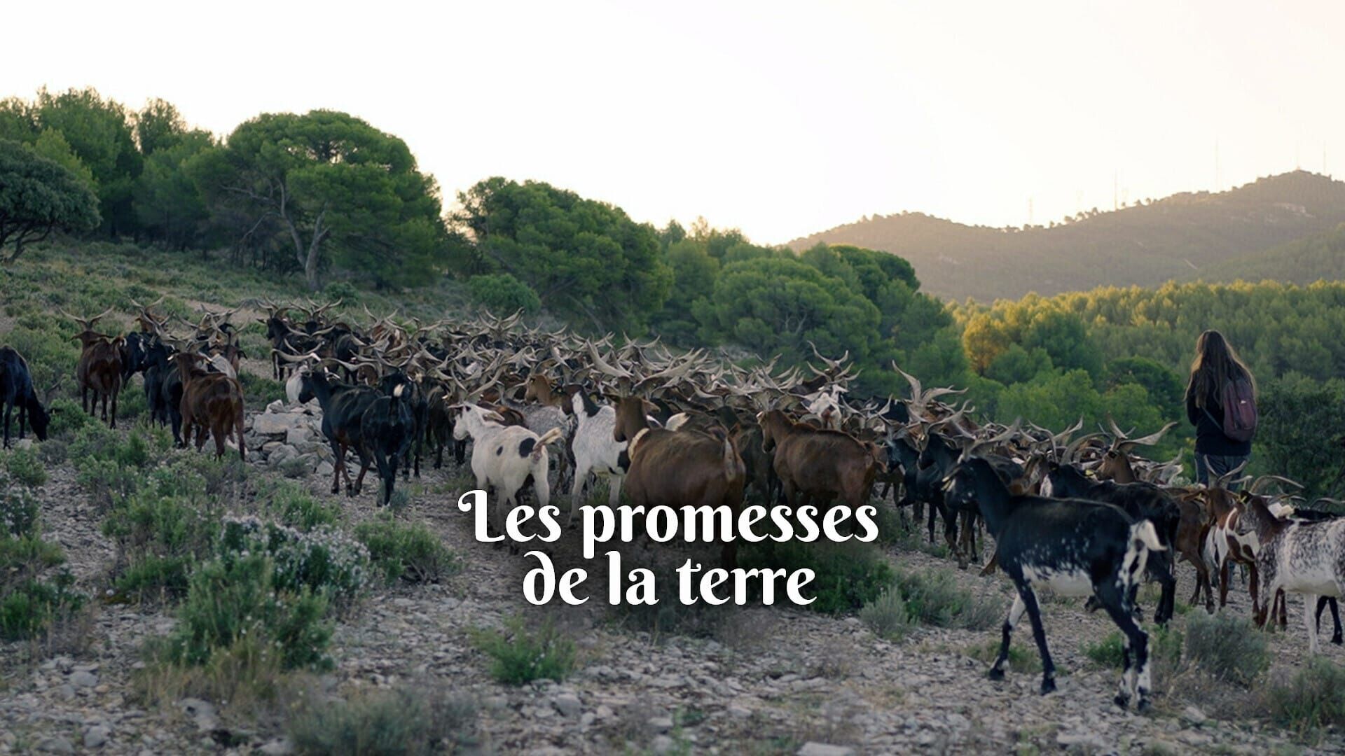 Protéger les plateaux