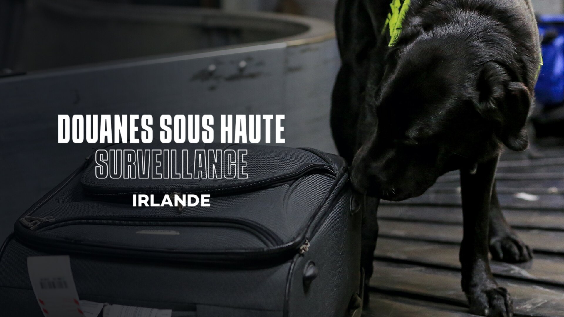 Douanes sous haute surveillance : Irlande