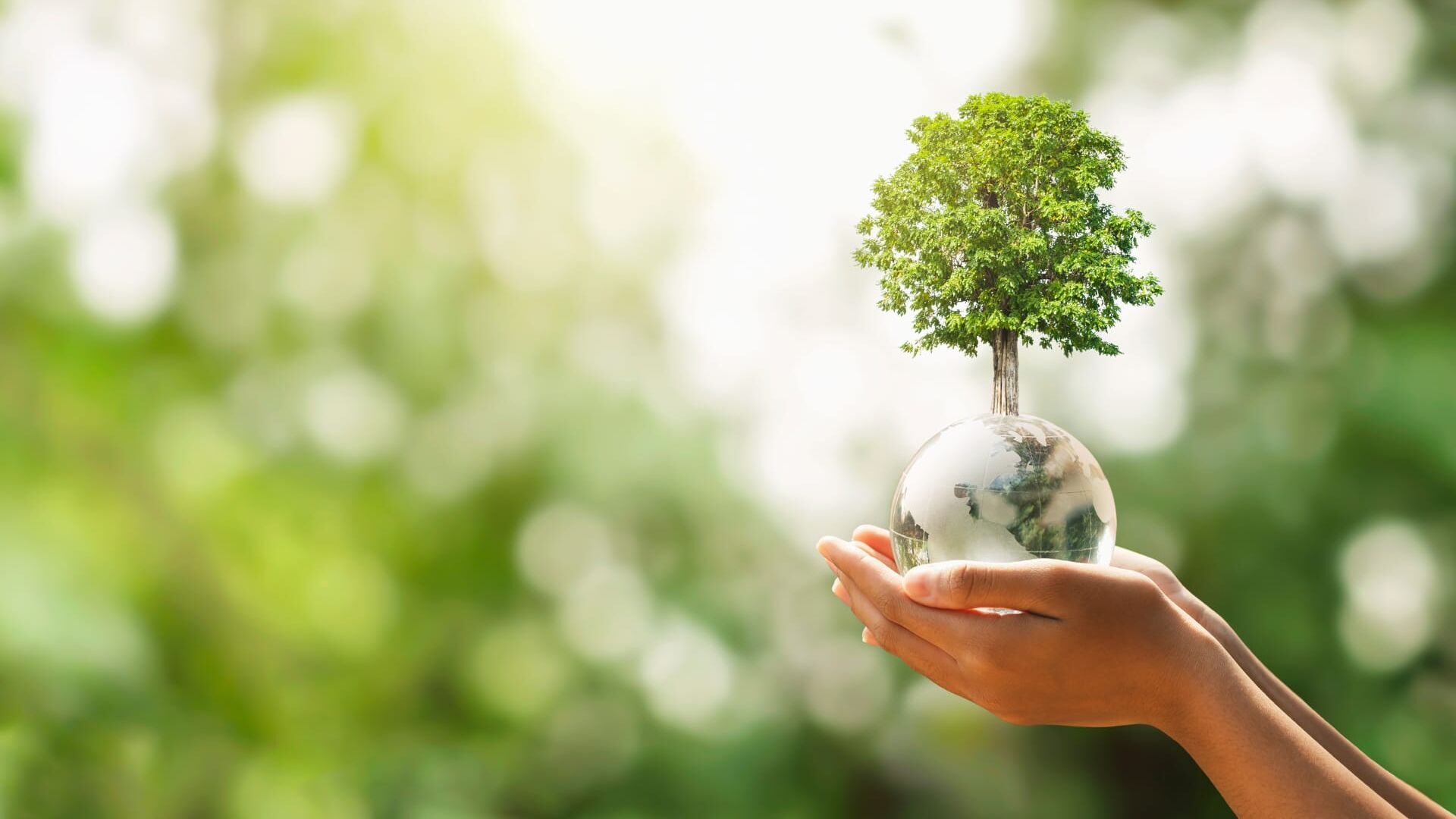 How do the Oceans Shape Our World?