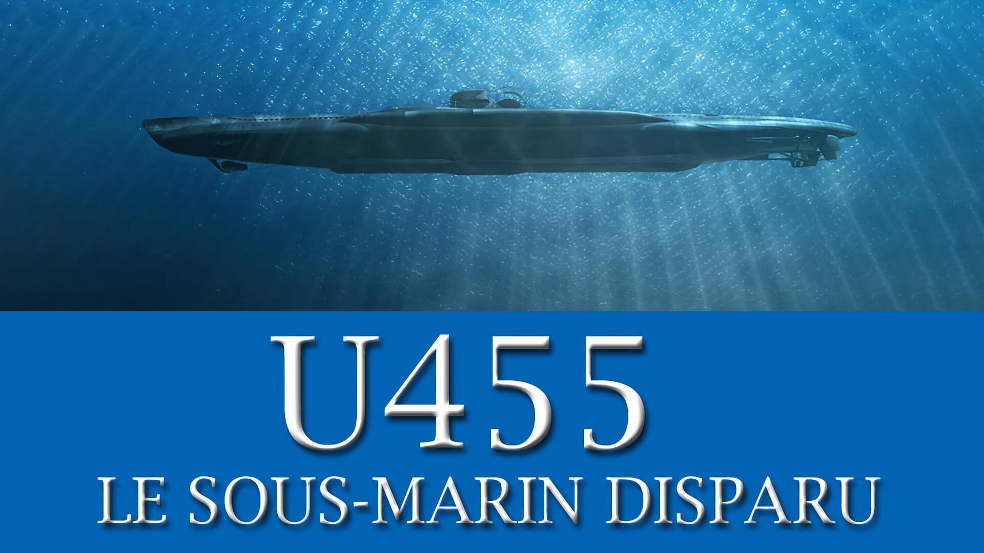 U-455, le sous-marin disparu