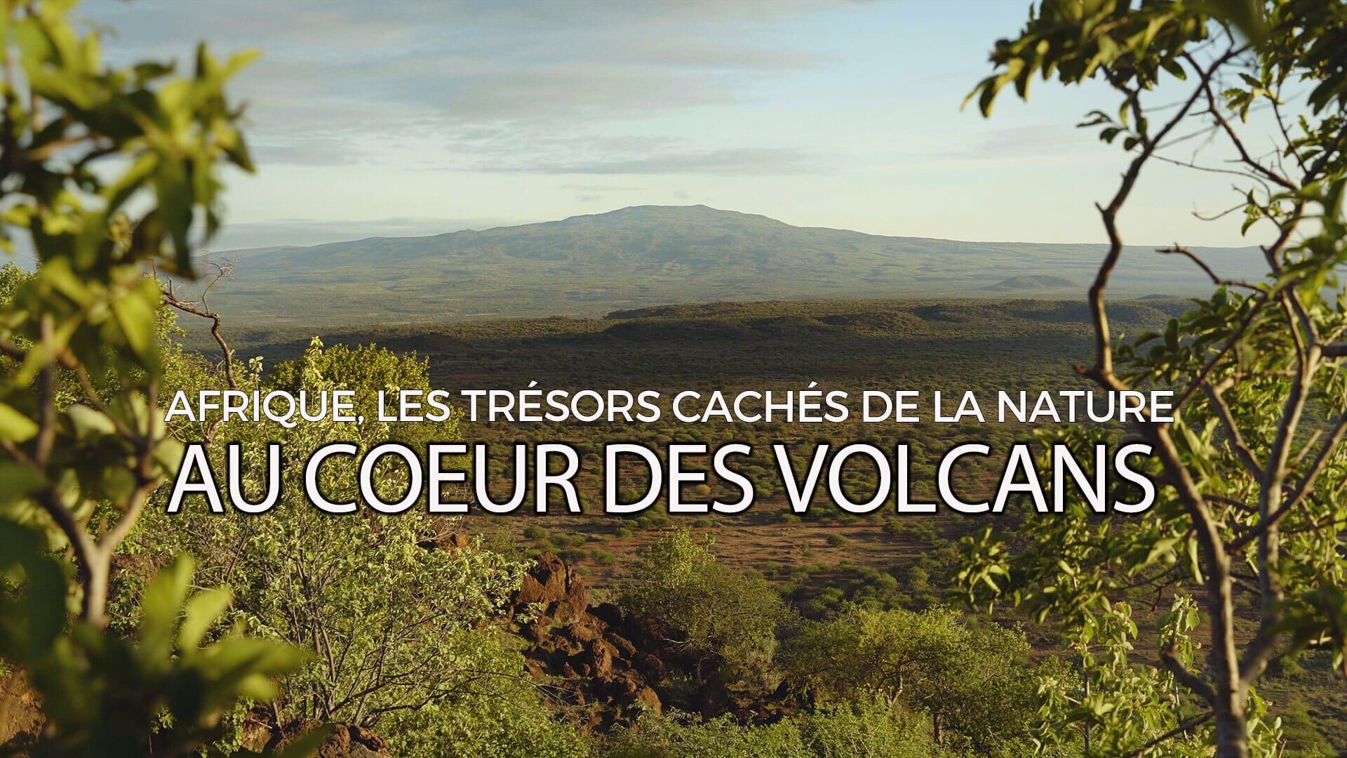 Au cœur du volcan