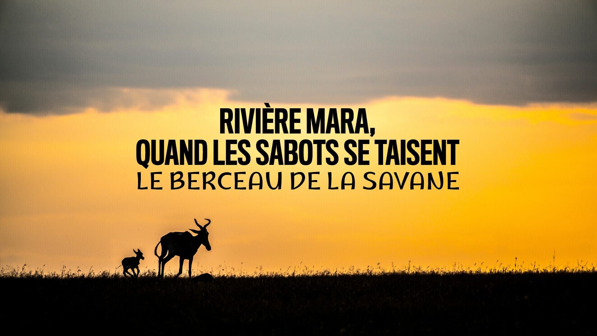 Rivière Mara, quand les sabots se taisent : Le berceau de la savane