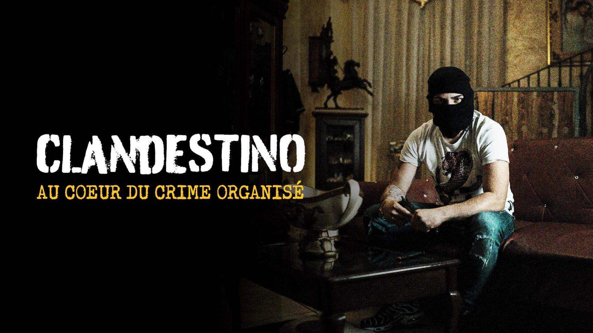 Ndrangheta : l'empire de la cocaïne en Europe