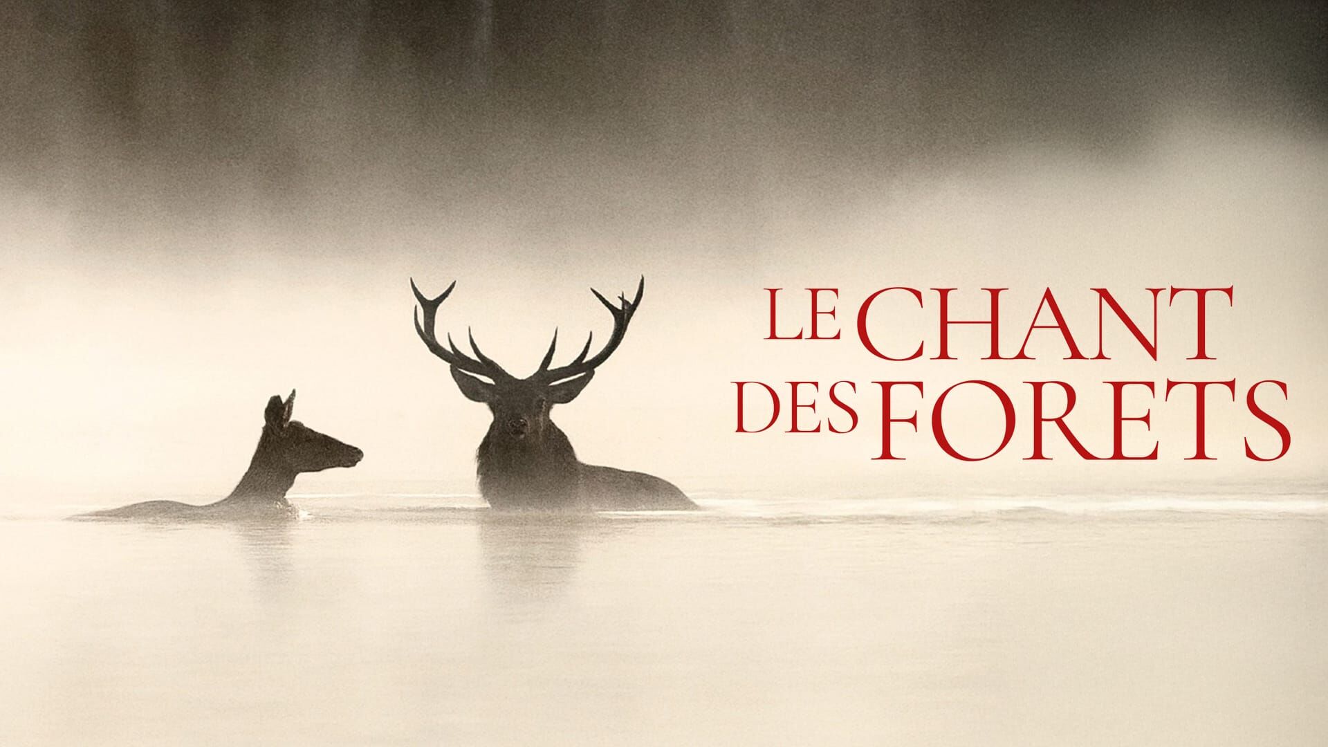 Le Chant des forêts