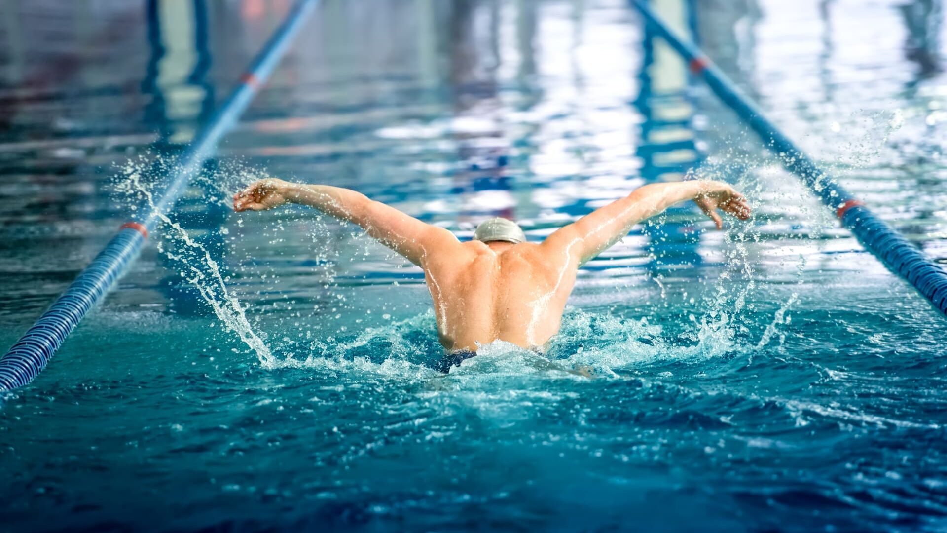 Natation : Championnats de France