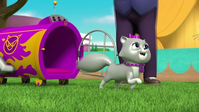 Le bébé Pingouin / Le spectacle des chats