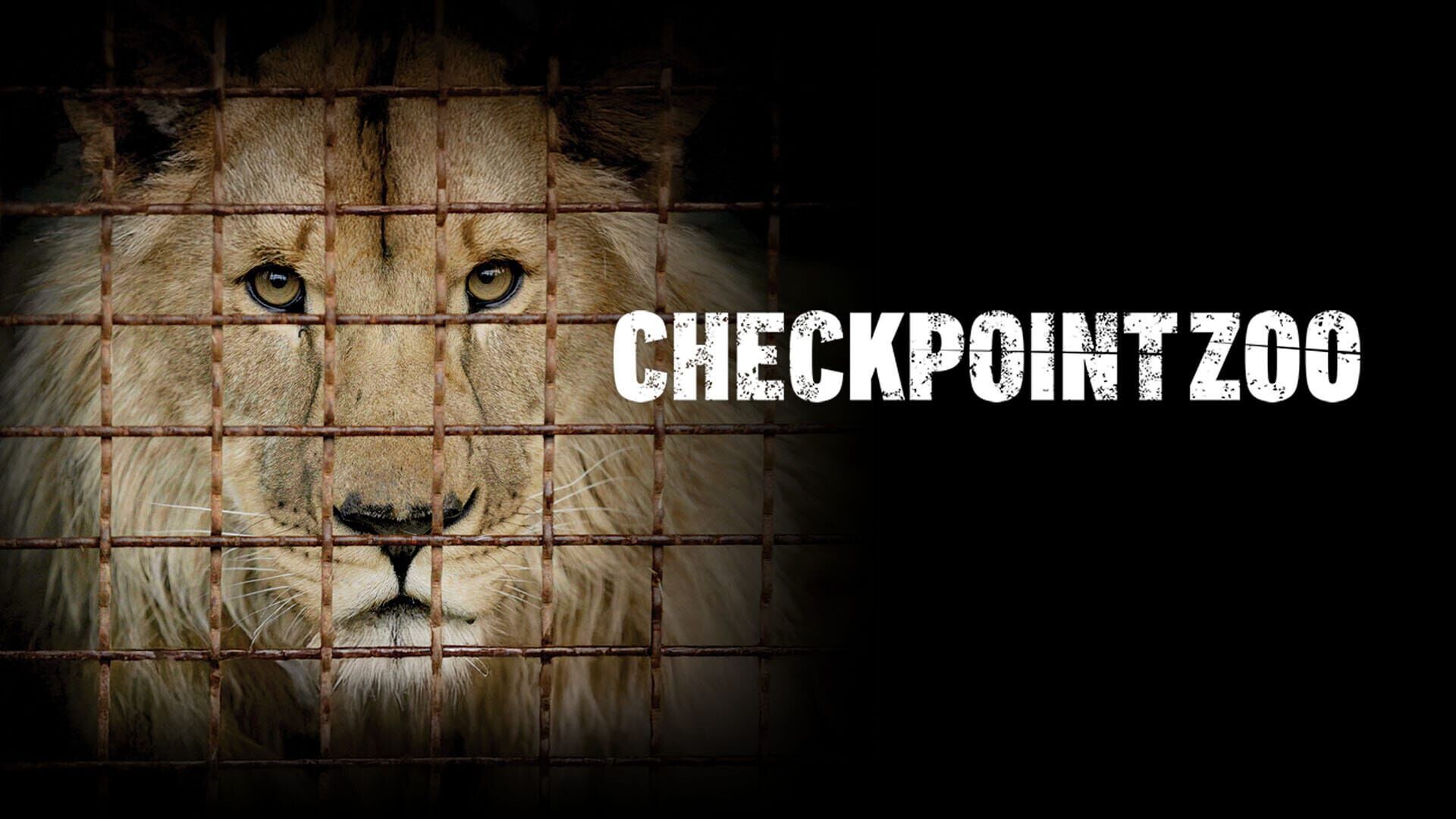 Checkpoint Zoo : Sauvetage sous les bombes
