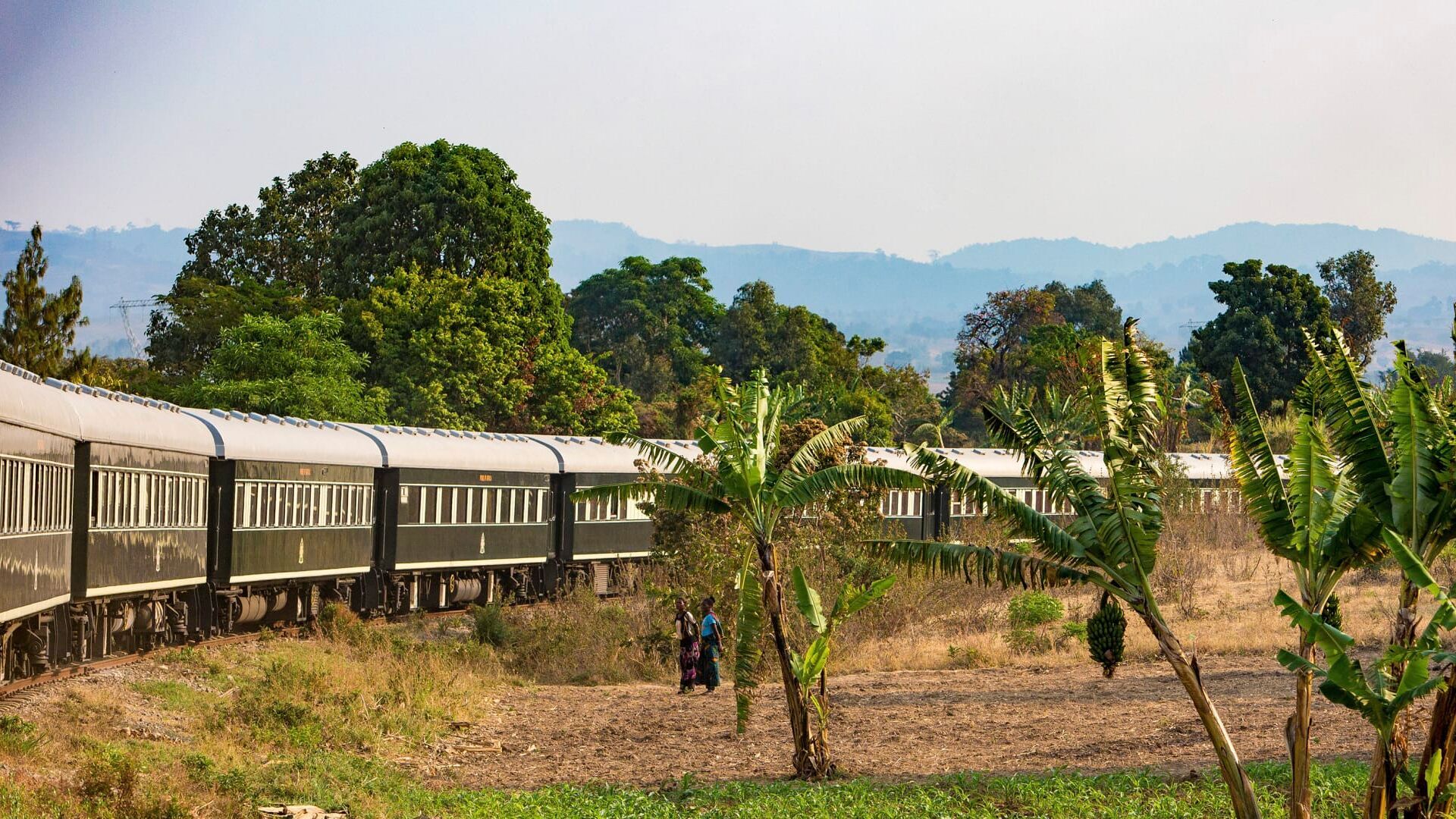 Un train au coeur des merveilles africaines : De Dar es Salam aux chutes Victoria