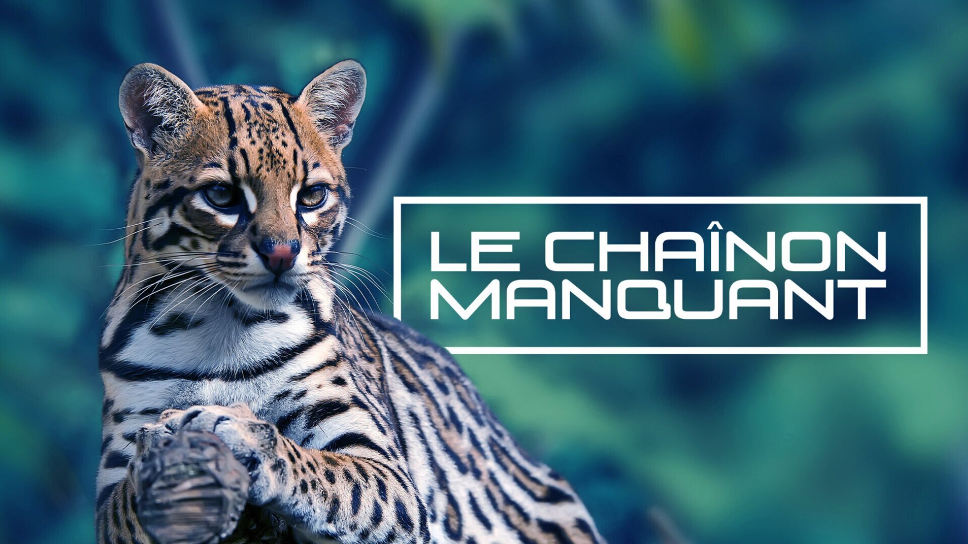 Le Chaînon manquant