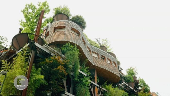 25 Verde : Turin