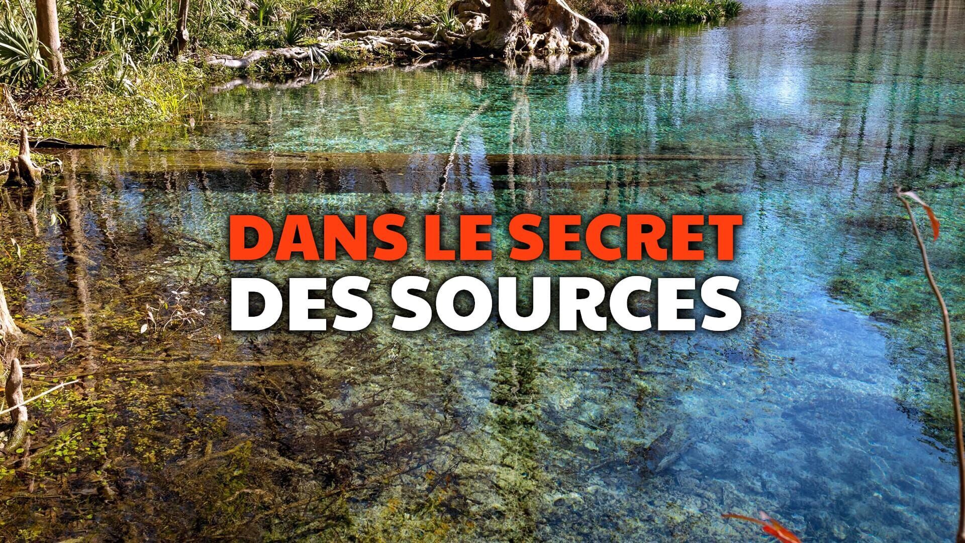 Floride, les sources de cristal