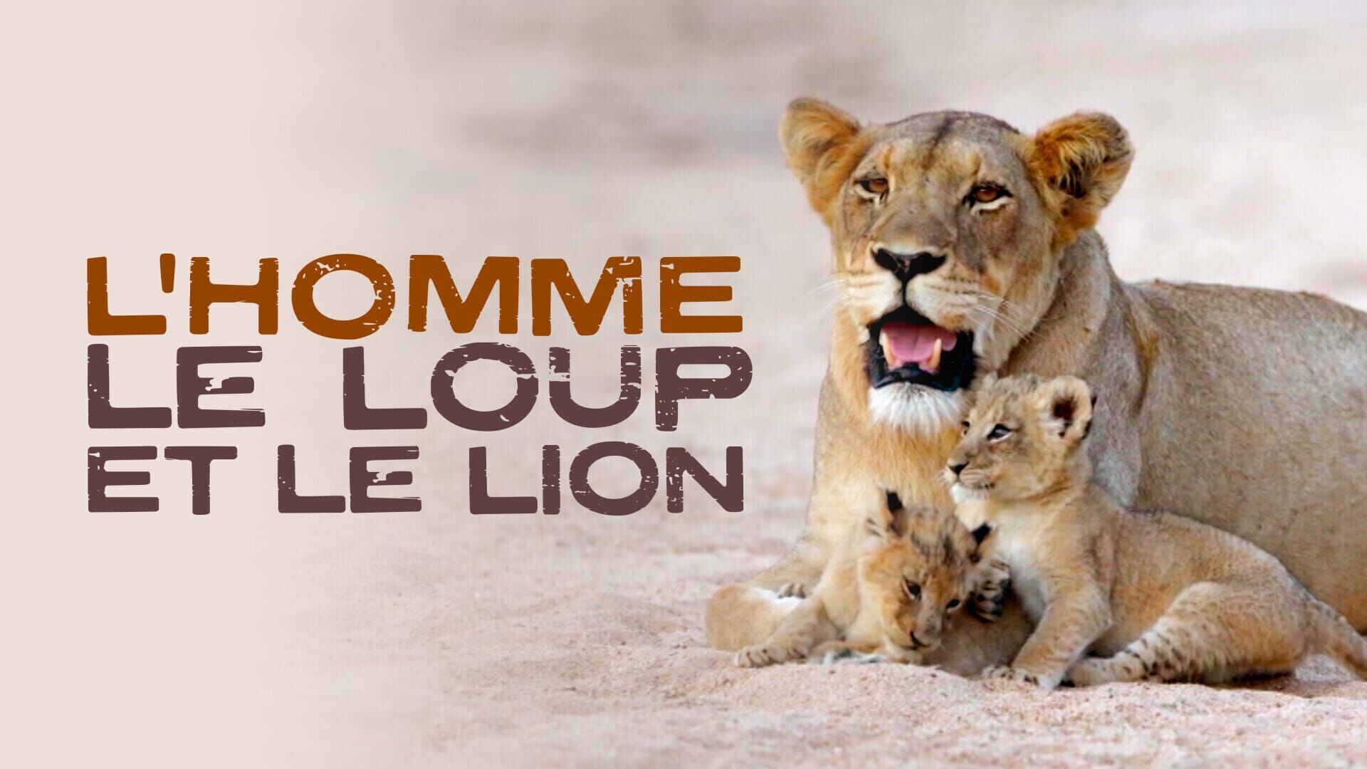 L'homme, le loup et le lion