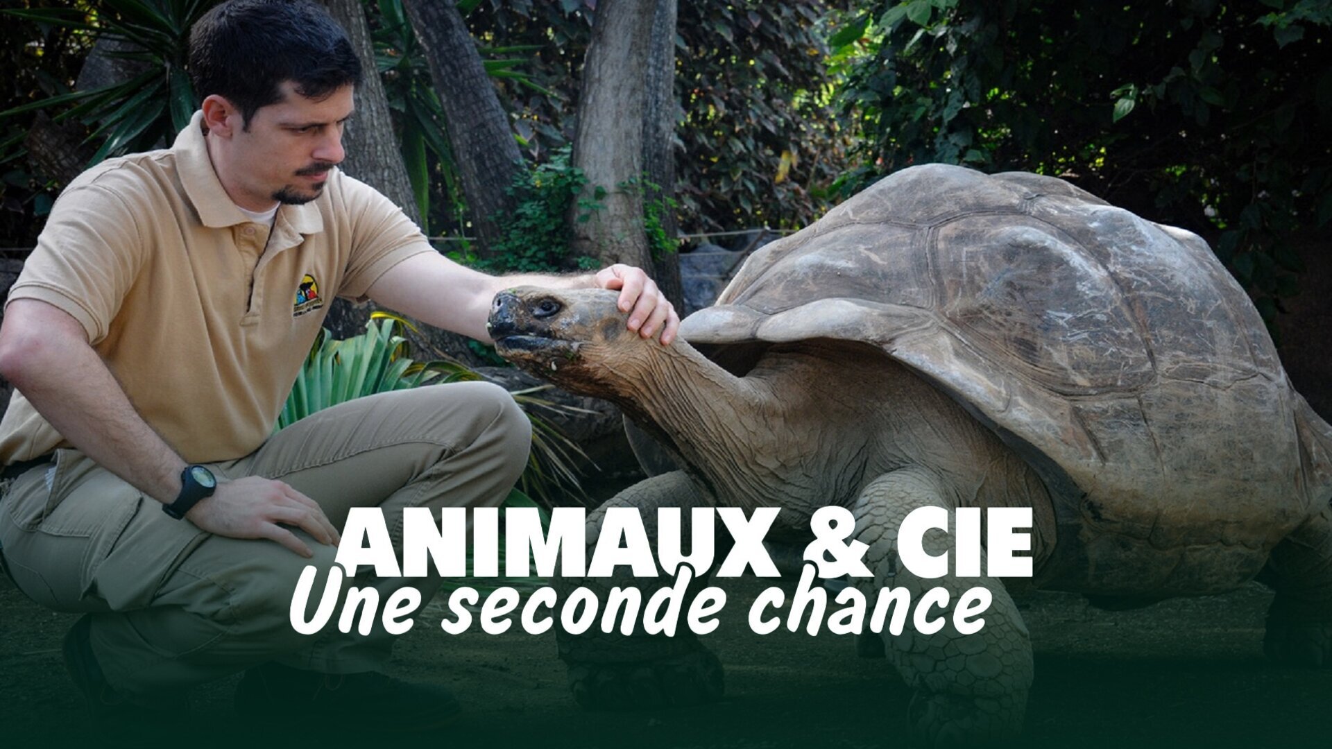 Animaux & Cie : une seconde chance