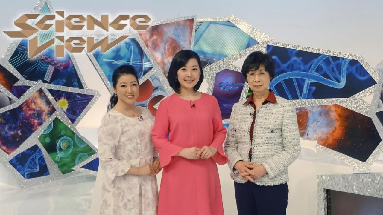 Motion Sickness: The Timeless Challenge of Human Travel