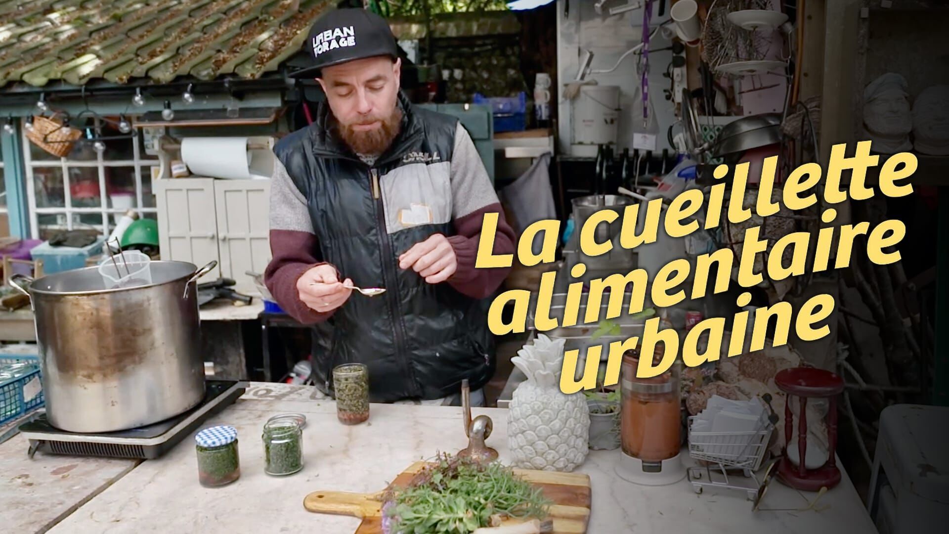 Urban Foraging - Fresh, Tasty and Free