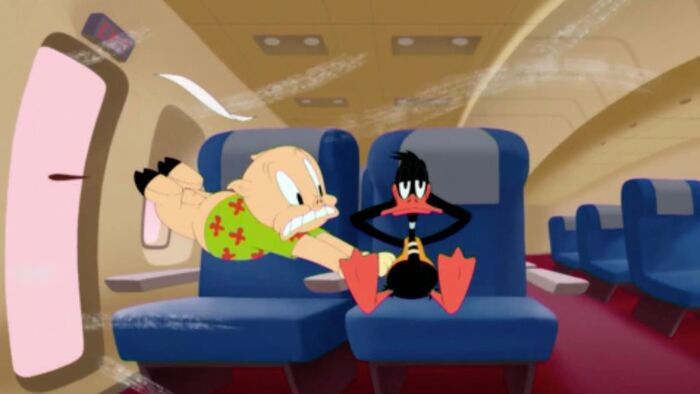 Daffy, soutien émotionnel / Adopte-moi !