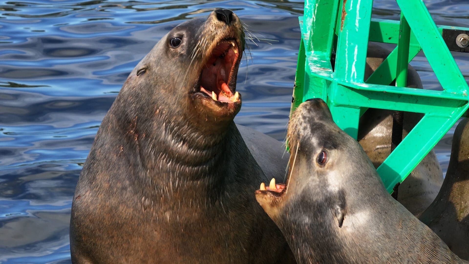 Une question de culture