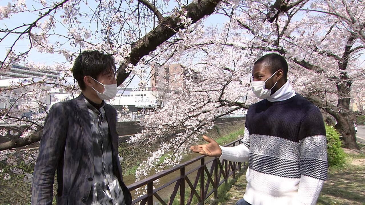 A Temple's New Light of Hope