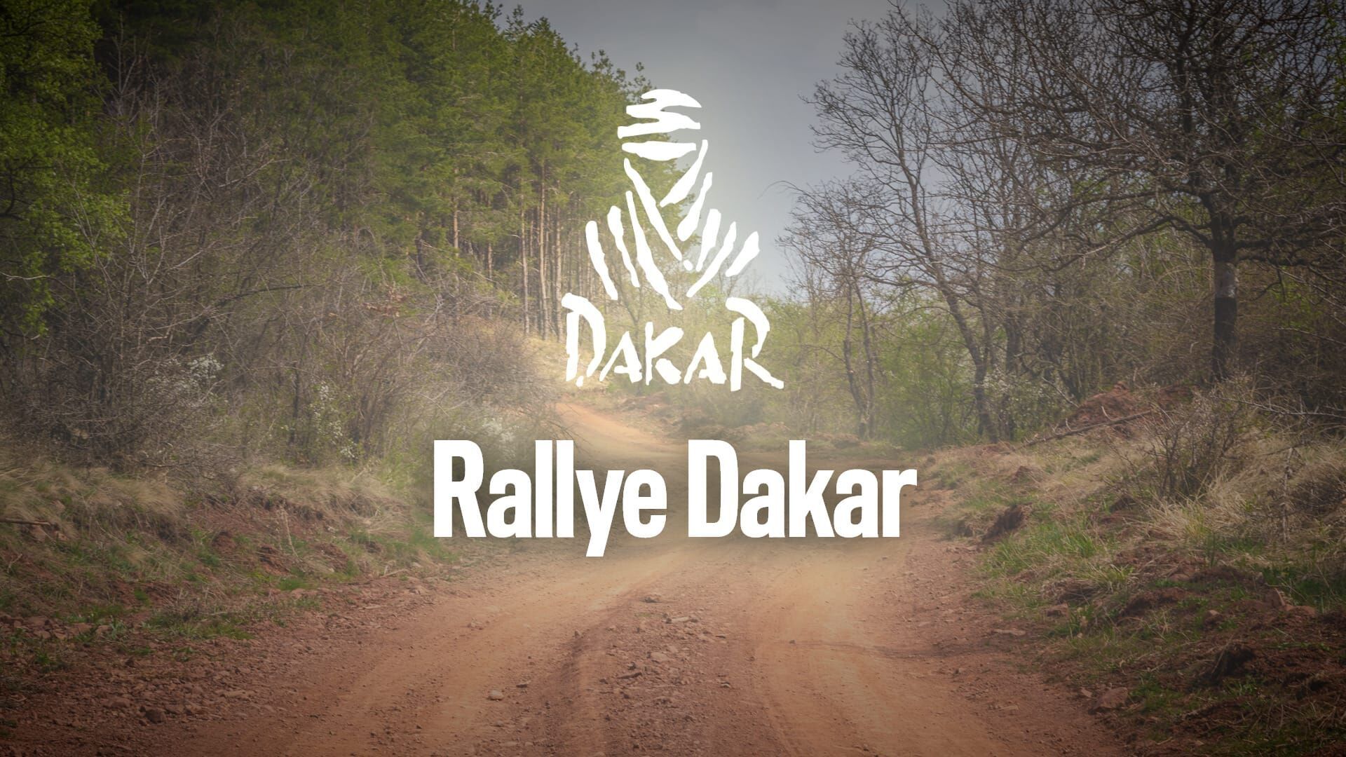 Rallye : Rallye Dakar